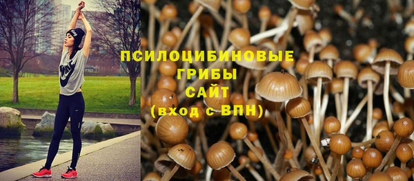 стаф Абдулино