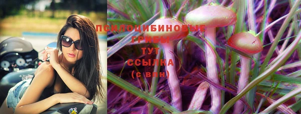 спиды Алзамай
