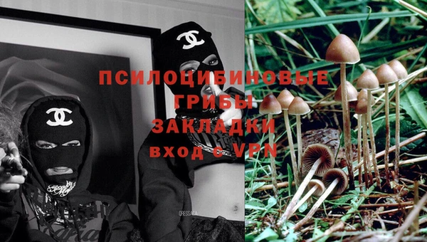 СК Алагир