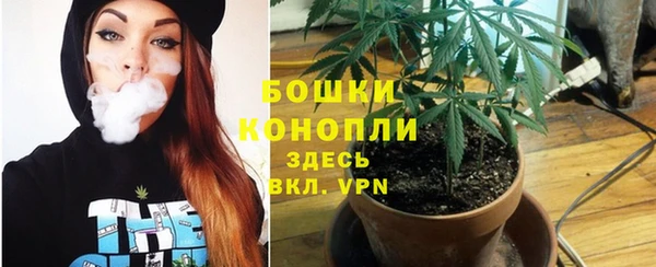 трава Пестово