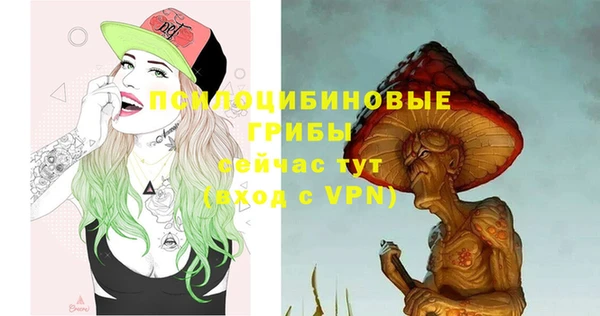 стаф Абдулино